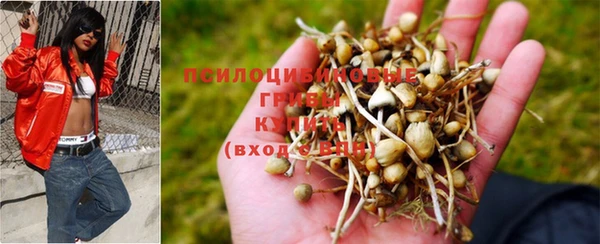 круглые Покров