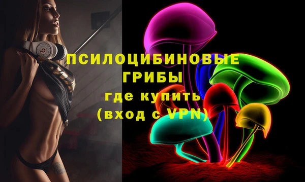 кокс Покачи