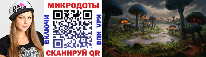 Псилоцибиновые грибы Psilocybe  Петровск-Забайкальский 