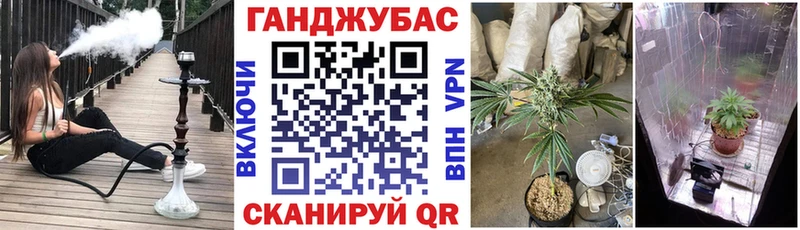 цена Петровск-Забайкальский Конопля Bruce Banner